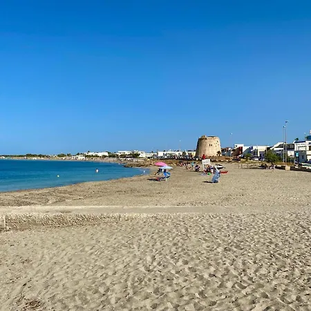 Dora E Franco Treseiseiseiquattroseicinquezeroottozero Torre Mozza